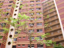 tampines-street-82 photo thumbnail #7